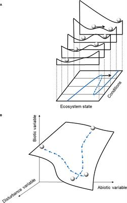 The Drape: a new way to characterize ecosystem states, dynamics, and tipping points from process-based models